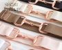 Shop Riding Belts for Kids