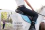 Ride in Style: Black Signature Leggings