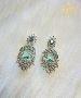 Beautiful Earrings Collection at Shree Parampara Indore