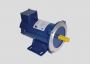 DC Motor manufacturer and supplier - Shrirang Energy Efficie