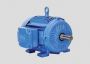 Durable TEFC Motors for Industrial Use – Shrirang Energy Eff