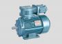 Heavy-Duty Flameproof Motors for Hazardous Environments