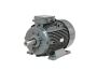Best Deals on 3-Phase Motors Order Now