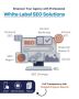 Boost Online Presence White Label SEO company