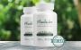 Support Healthy Blood Sugar with Plantsulin