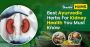 Best Ayurvedic Herbs for Kidney Health You Must Know