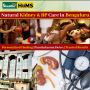 Top Panchakarma Therapies Centre in Bengaluru for Natural He