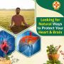 Ayurvedic Heart & Brain Wellness Tips | Herbal Healing in Be