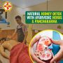 From Toxins to Transformation: Ayurvedic Detox for Kidney Re