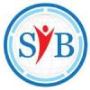 Best Website Development Services in India: SIB Infotech