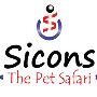 Looking for the Best Dog Cakes in Delhi?