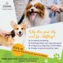 Awarded Best Pet Grooming Facility by PetFed - Sicons The Pe