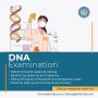 DNA Forensic Testing | Accurate Genetic Analysis Services