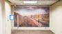 Wall Murals In San Antonio