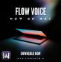 Speak naturally, Flow writes what you'd have written