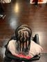 Sion African Hair Braiding | Hair Salon
