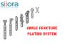 A High-Quality Range of Ankle Fracture Plating System