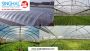 Benefits of Using Greenhouse Films in Optimized Light Transm