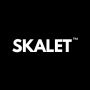 Skalet Agency: Premier PPC Services and Leading PPC Company 