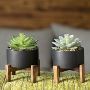 Artificial Plants And Flowers In South Africa 
