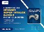 Efficient Ceramic Super Intalox Saddle Manufacturer India