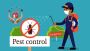 Worried About Daily Surge in Dengue Cases? Book Mosquito Con