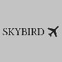 Detailed MCI Kansas City Airport Maps Available | SkyBirdSup
