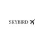 Explore Pittsburgh International Airport Map Today