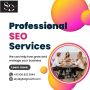 Professional SEO Services | Sky Digital Growth