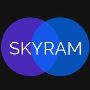  Digital Marketing Company In Hyderabad-Skyram Technologies
