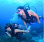 Dive in Cancun