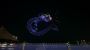 Best Festival Drone Light Show Services in Florida for Your 