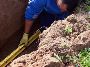 Septic Tank Maintenance Poway, CA