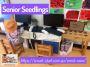 Smart Start Early Learning Centre - Senior Seedlings 