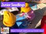 Smart Start Early Learning Centre - Junior Seedlings (2 Year