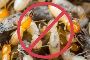 SMG – Reliable Choice as the Best Termite Control Company
