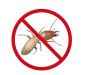 SMG: Trusted Among Termite Treatment Companies in Sharjah