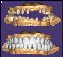 Best Dentist in Wadala East at Smile Again Dental Clinic