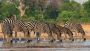 Visit Chobe National Park