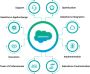 Salesforce Professional Services in USA 