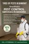 Tired of Pests in Bandra? We’ve Got You Covered! Tired of Pests in Bandra? We’ve Got You Covered!