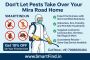 Don’t Let Pests Take Over Your Mira Road Home!