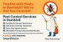 Trouble with Pests in Dombivli? We’ve Got You Covered!