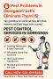 Pest Problems in Goregaon? Let’s Eliminate Them!