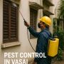Say Goodbye to Pests in Vasai!