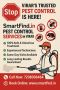 Stop Pests in Their Tracks — Virar’s Trusted Pest Control
