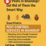 Pests in Bhandup? Get Rid of Them the Smart Way! Pests in Bhandup? Get Rid of Them the Smart Way!