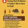 Facing Pest Problems in Dadar? We’re Here to Help!