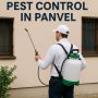 Say Goodbye to Pests in Panvel! Say Goodbye to Pests in Panvel!