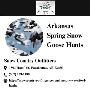 Arkansas Spring Snow Goose Hunts Arkansas Spring Snow Goose Hunts